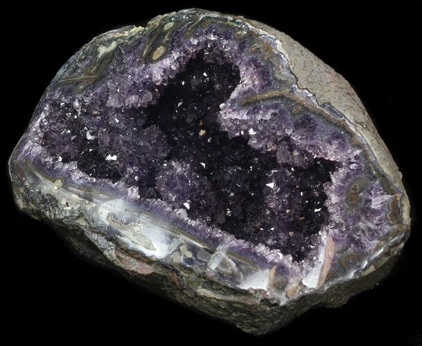 Amethyst Crystal Geode - pounds #37733